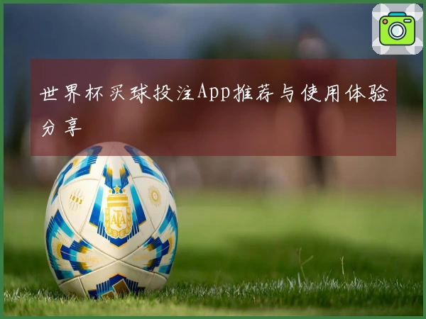 世界杯买球投注App推荐与使用体验分享