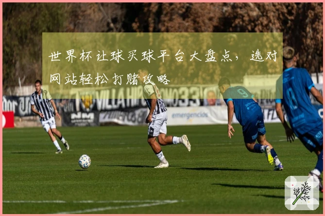 世界杯让球买球平台大盘点，选对网站轻松打赌攻略