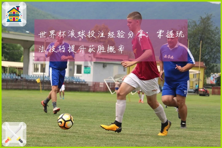 世界杯滚球投注经验分享：掌握玩法技巧提升获胜概率